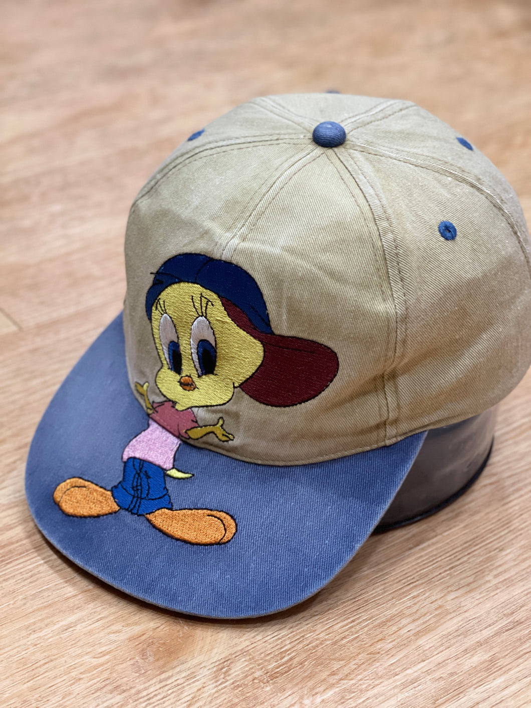 Looney Tunes Warner Bros Cap